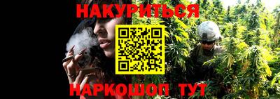 jwh Аргун