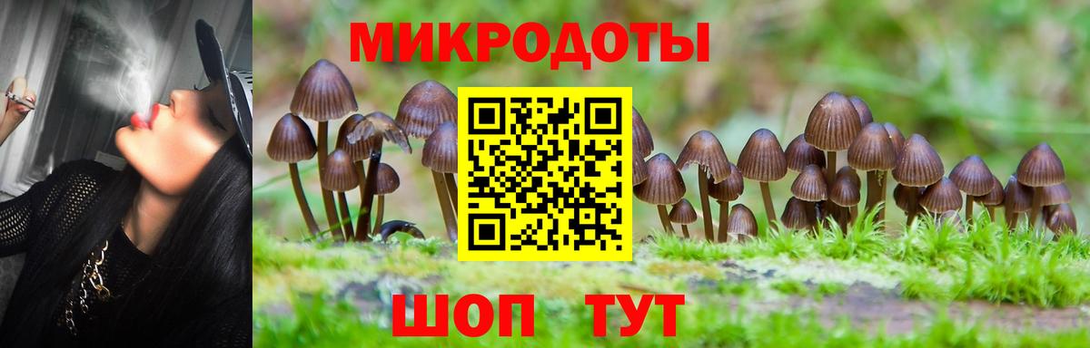Галлюциногенные грибы Magic Shrooms Бугуруслан